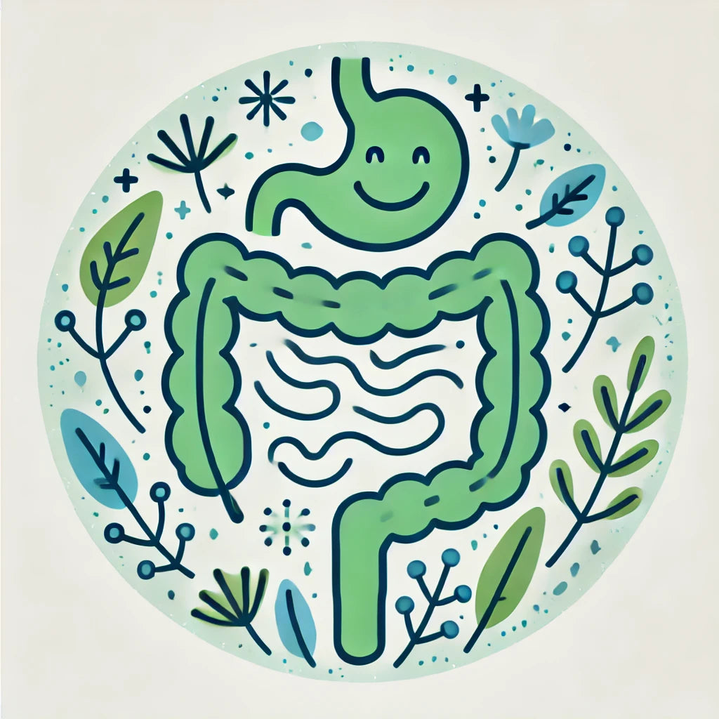 Was ist ein Reizdarm und wieso helfen Flohsamenschalen?