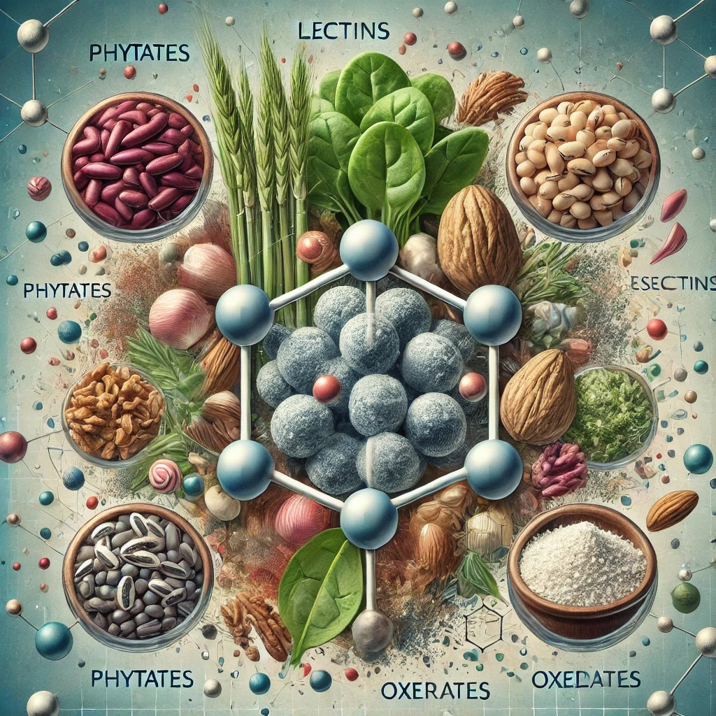Was sind Antinährstoffe - Sonnenblumensamen Sprossen